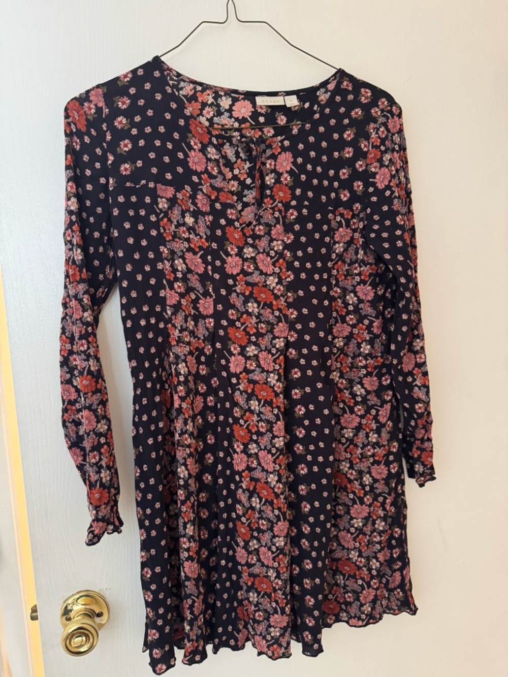 Hinge Paisley Blue Dress